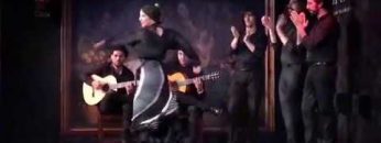 [ID: 8fm1Lz7vcsw] Youtube Automatic