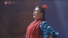 [ID: 8PtqLKn7Zt0] Youtube Automatic