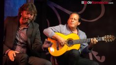 [ID: 8Qk5WAOYvHY] Youtube Automatic