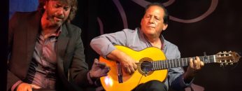 [ID: 8Qk5WAOYvHY] Youtube Automatic