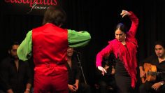 [ID: 8r3DjEsKDD8] Youtube Automatic