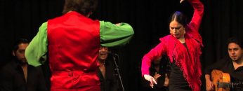 [ID: 8r3DjEsKDD8] Youtube Automatic