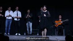 [ID: 8uExdc6sUqQ] Youtube Automatic