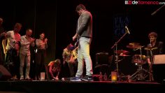 [ID: _8UWpHDgNFI] Youtube Automatic