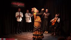 [ID: 8vYqwsFpOmo] Youtube Automatic