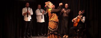 [ID: 8vYqwsFpOmo] Youtube Automatic