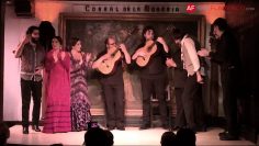 [ID: 8X7Mg9_wWnA] Youtube Automatic