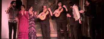 [ID: 8X7Mg9_wWnA] Youtube Automatic