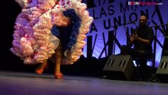 [ID: 90GbuGRIBJM] Youtube Automatic