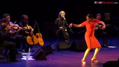 [ID: -91bjMlP8O4] Youtube Automatic