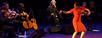 [ID: -91bjMlP8O4] Youtube Automatic