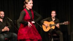 [ID: 95ORMp_E2AY] Youtube Automatic