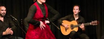 [ID: 95ORMp_E2AY] Youtube Automatic