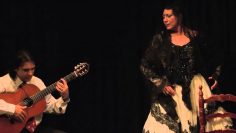 [ID: 96sDJOPtbTY] Youtube Automatic