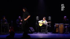 [ID: 98Lpr20W-O0] Youtube Automatic