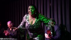 [ID: 99k407AZjjI] Youtube Automatic