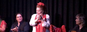 [ID: 99ZmVN-by9s] Youtube Automatic