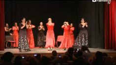 [ID: 9AElQUiaRxU] Youtube Automatic