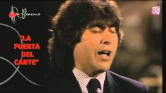 [ID: 9EfmgU5stis] Youtube Automatic