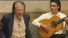 [ID: 9ickCP7dknk] Youtube Automatic