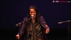 [ID: 9kIveD77L4Q] Youtube Automatic