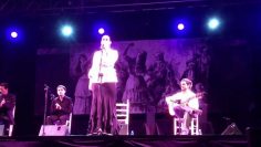 [ID: 9yZa7hwK0fQ] Youtube Automatic