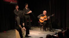 [ID: A0xJpJ4c6cg] Youtube Automatic