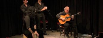 [ID: A0xJpJ4c6cg] Youtube Automatic