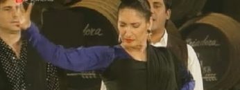 [ID: a6gim-3tNZY] Youtube Automatic