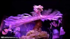 [ID: AAJ7sM3DSNc] Youtube Automatic