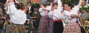 [ID: acNZfF3i6oU] Youtube Automatic