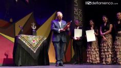 [ID: ADBgSYj6tjg] Youtube Automatic