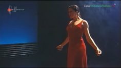 [ID: AfGwNMnWQ9o] Youtube Automatic