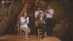 [ID: aI_DfUoIFqc] Youtube Automatic