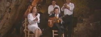 [ID: aI_DfUoIFqc] Youtube Automatic