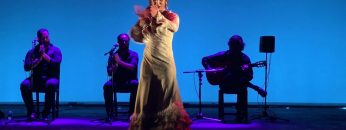 [ID: ajnLNgwCa78] Youtube Automatic