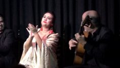 [ID: aQLDTZK_QrA] Youtube Automatic