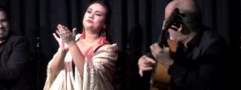 [ID: aQLDTZK_QrA] Youtube Automatic