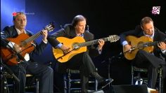 [ID: aqlqOj_TOyk] Youtube Automatic