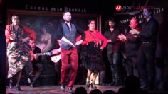 [ID: ARS3b1vHM-A] Youtube Automatic