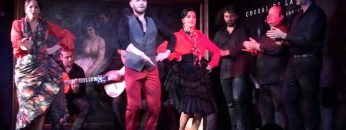 [ID: ARS3b1vHM-A] Youtube Automatic