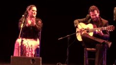 [ID: aspPVDuq8l8] Youtube Automatic