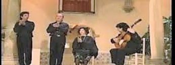 [ID: aucGkW-ZcDQ] Youtube Automatic