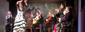 [ID: aVe1h2Z3Vbk] Youtube Automatic