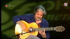 [ID: Awfa9CC5Uvc] Youtube Automatic