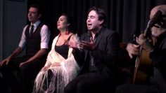 [ID: AWS9BLhaJJA] Youtube Automatic