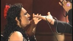 [ID: AXHup3E2LIw] Youtube Automatic