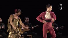 [ID: b48JYLajt-0] Youtube Automatic