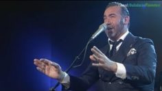 [ID: B87jIctCorY] Youtube Automatic