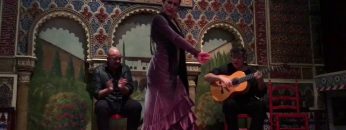 [ID: b9ZQD3PXJ7U] Youtube Automatic